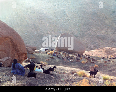 A dignified elderly Tuareg woman is taking care of 200 goats and sheep in the mountains Stock Photo