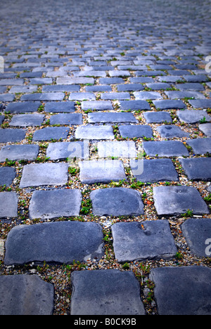 Background of cobblestone pavement with light reflection Stock Photo