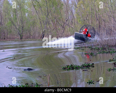 Airboat alligator Stock Photo