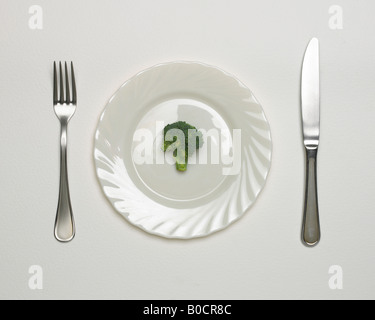 BROCCOLI FLORET ON WHITE PLATE WITH STEEL KNIFE AND FORK Stock Photo