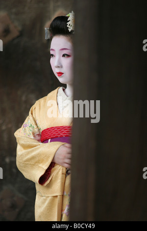 'Umechika'- a 22 year old Maiko from Kamishichiken district, Kyoto Japan, 2005 Stock Photo