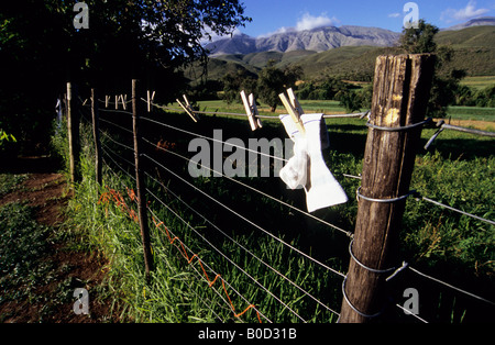 Oudtshoorn, Western Cape, South Africa, beautiful landscape, sock drying on farm fence, De Rust district, African landscapes, farming, object, Stock Photo