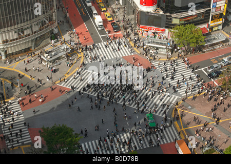 Shibuya Crossing, Tokyo Stock Photo