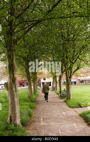 UK Cheshire Knutsford man walking away along St Johns Parish church path under shade of tree Stock Photo