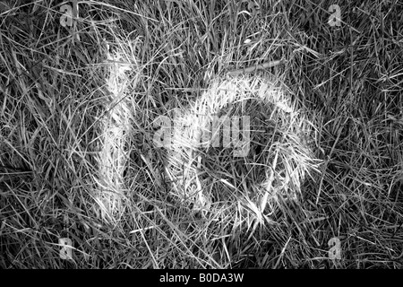 Fishing match swim mark on the bank of the river Thames near Henley Stock Photo