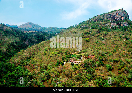 Ooty, one of the beautiful resorts in Tamilnadu, India.  Ooty is popular for it's rare varieties of plants and Tea plantations. Stock Photo