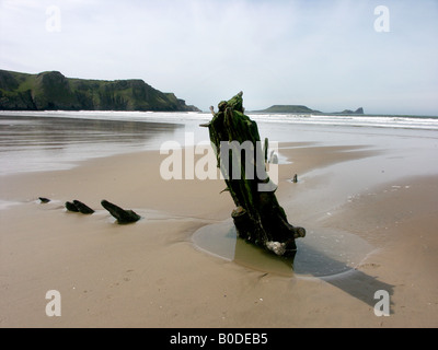 Remains of the hull timbers of the Helvetia, shipwrecked in Rhossili Bay 1887, with Worms Head behind. Gower, Glamorgan, Wales Stock Photo