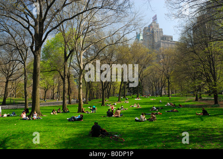 People Relaxing Sunbathing In Central Park Great Lawn New York City NYC ...