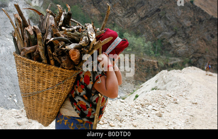 nepali lady carrying firewood annapurna nepal Stock Photo