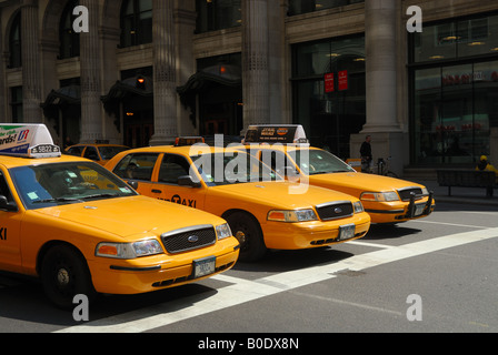 A New York City Taxi And Limousine Commission Medallion On A Cab Is ...