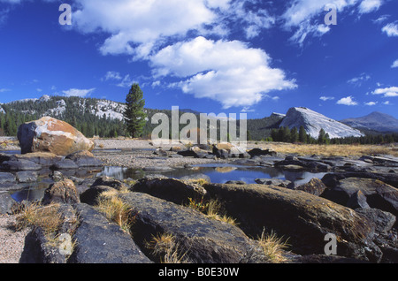 Glacially polished boulders in Yosemite National Park, California Stock Photo