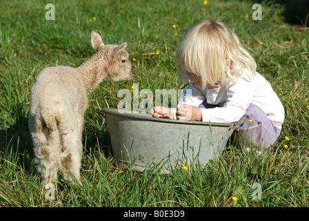 Stock photo of a two year old blond haired girl helping to feed a lamb Stock Photo