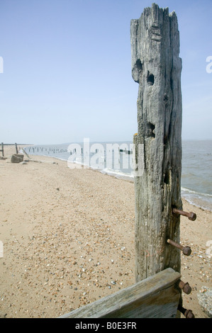 Wooden post and groyne at Seasalter beach Kent UK Stock Photo