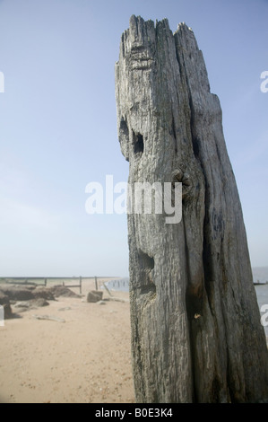 Weathered wooden post sea defences Seasalter beach Kent UK Stock Photo