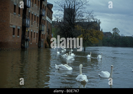 Flooding on River Severn Worcester England November 2000 Stock Photo