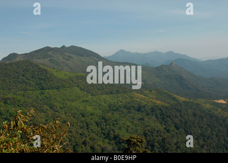 ponmudi hills, kerala,india Stock Photo