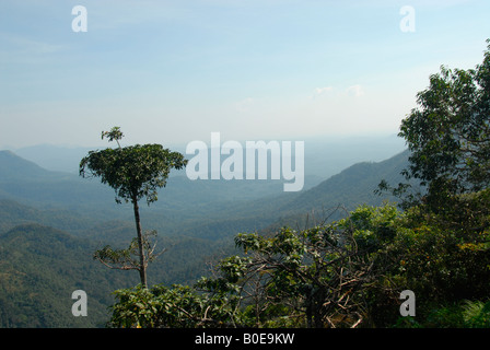 Ponmudi hills, kerala, india Stock Photo