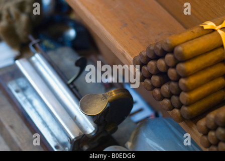 Hand made Cuban cigars stacked in a shop with a rolling machine Havana Cuba Stock Photo