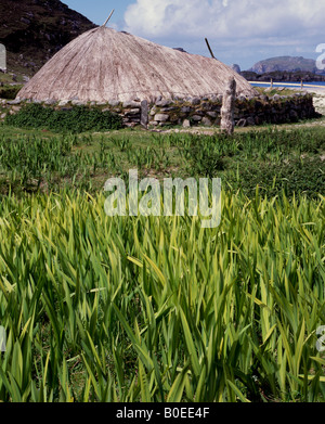 Iron age house, Bernarey, Lewis, Outer Hebrides, Scotland, UK. Stock Photo