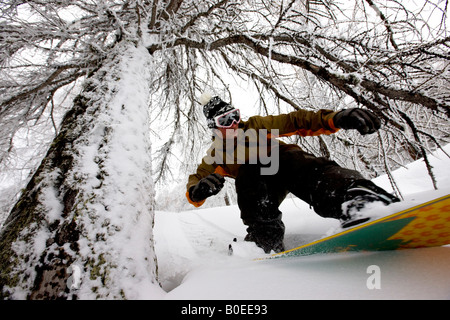 Snowboarder off piste riding through the trees Stock Photo