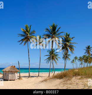 Palm trees and a hut on Playa del Este beach Havana Cuba Stock Photo