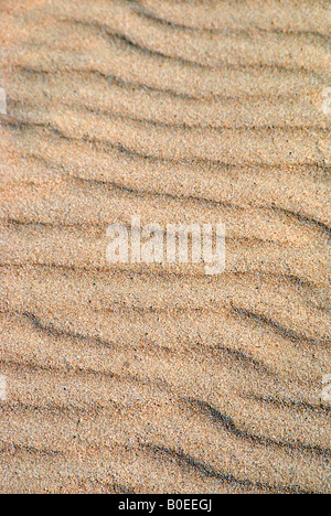 Sand ripples on the beach Stock Photo