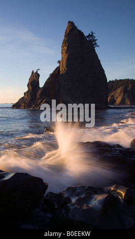sea stack and ocean surf, Rialto Beach, Olympic National Park, Washington Stock Photo