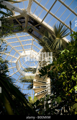 Sefton Park palm house in Liverpool Stock Photo