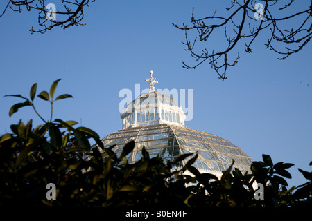 Sefton Park palm house Stock Photo