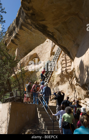 A US National Parks Ranger leads a tour group up a 36 foot ladder to the entrance of the Balcony House ruins Mesa Verde NP Stock Photo