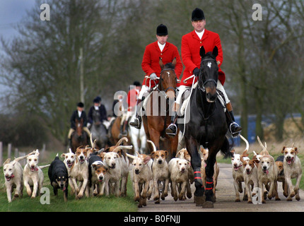 HUNTSMAN HUNT FOXES WITH HOUNDS AT FOX HUNT IN GREAT THURLOW AND WRATTING SUFFOLK 2005 Stock Photo