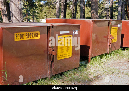 Bear boxes bear resistant food storage containers for campers in campsite  Yosemite National Park California USA Stock Photo - Alamy