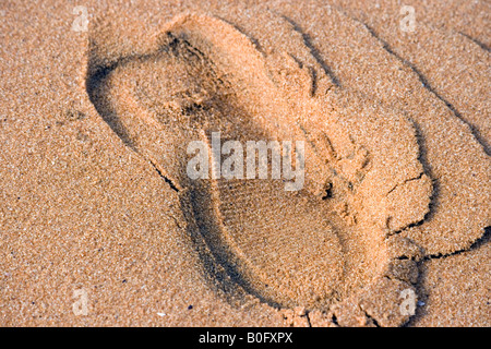 Footprint on a beach Stock Photo