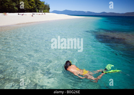 Snorkelling - Cairns, Queensland, AUSTRALI Stock Photo