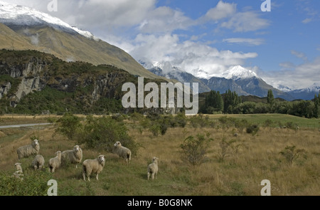 Tranquil rural scene close to the Motatapu river valley near Wanaka, Otago, New Zealand Stock Photo