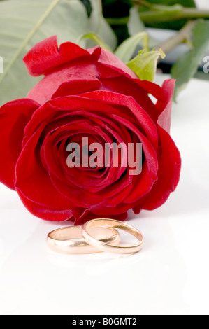 Two gold wedding bands beside a red rose Stock Photo