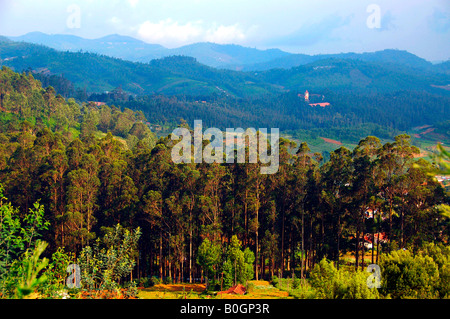 Ooty, one of the beautiful resorts in Tamilnadu, India.  Ooty is popular for it's rare varieties of plants and Tea plantations. Stock Photo