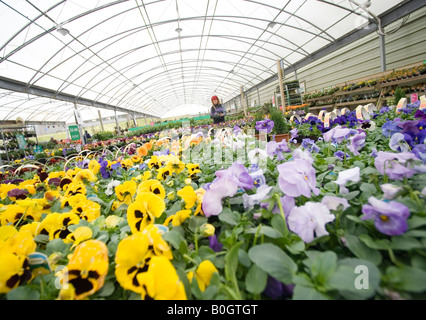 Woman shopper in a Dobbies garden centre Stock Photo