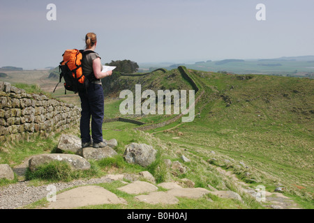 Female Hill Walker With Map Enjoying the View East on Hadrian s Wall Northumberland Stock Photo