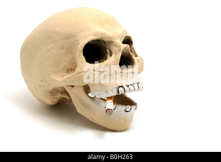 rubber skull with cigarette stub to illustrate the dangers of smoking Stock Photo