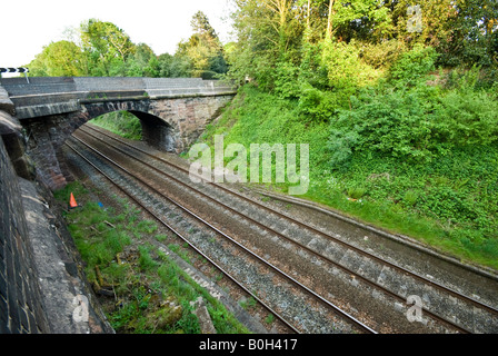 Railway tracks surrounded by wall and trees in the country going under bridge Stock Photo