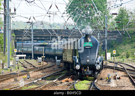 A4 Pacific 60019 'Bittern' approaches Norwich with a 'Steam Dreams' charter train from London. Stock Photo