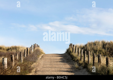 Path leading through grass-covered sand dunes near Zoutelande, Walcheren, Zeeland, Netherlands Stock Photo