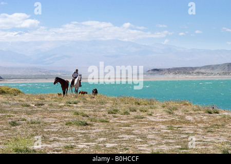 Horse rider leading horses over arid ground, at back high mountains and the windswept Cuesta del Viento dam, Rodeao, San Juan P Stock Photo