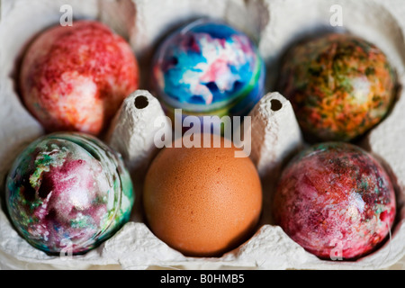 Five painted, coloured Easter eggs and one plain brown egg in an egg carton Stock Photo