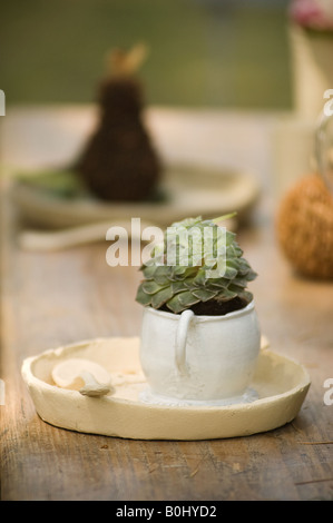 Succulent plant in a pot on a clay plate Rustic garden accessories and decor Stock Photo