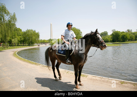 A mounted police officer on duty in Washington DC, USA Stock Photo