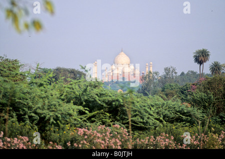 Approaching the Taj Mahal, Agra IN Stock Photo