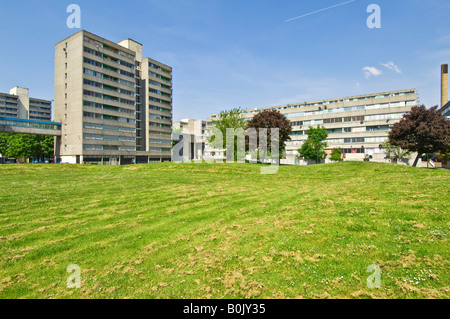 A view on the infamous Ferrier estate in Kidbrooke, London. Stock Photo