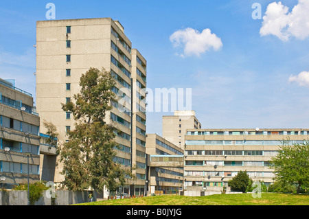 A view on the infamous Ferrier estate in Kidbrooke, London. Stock Photo